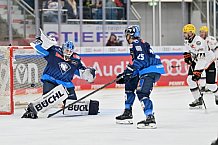 Eishockey, Herren, DEL, Saison 2024-2025, Spieltag 14, ERC Ingolstadt - Löwen Frankfurt, 31.10.2024
