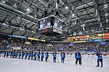 Eishockey, Herren, DEL, Saison 2024-2025, Spieltag 42, ERC Ingolstadt - Kölner Haie, 31.01.2025
