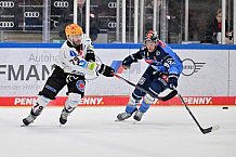 Eishockey, Herren, DEL, Saison 2023-2024, Playoffs Viertelfinale - Spiel 4, ERC Ingolstadt - Fischtown Pinguins , 24.03.2024