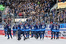 Eishockey, Herren, DEL, Saison 2024-2025, Spieltag 36, ERC Ingolstadt - Kölner Haie, 12.01.2025