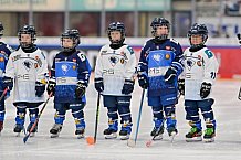 Eishockey, Herren, DEL, Saison 2024-2025, Spieltag 14, ERC Ingolstadt - Löwen Frankfurt, 31.10.2024