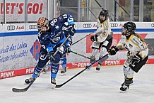 Eishockey, Frauen, DFEL, Saison 2024-2025, ERC Ingolstadt - Mad Dogs Mannheim, 23.11.2024