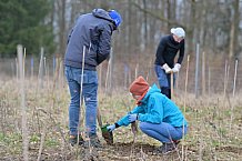 Eishockey, Herren, DEL, Saison 2023-2024, ERC Ingolstadt - Baumpflanzaktion, 02.03.2024