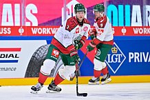 Hockey, Mens, CHL, Season 2025-2026, Quarter-Finals, ERC Ingolstadt - Frölunda Gothenburg, 02.12.2025