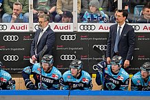 Eishockey, Herren, DEL, Saison 2022-2023, Playoff-Finale - Spiel 2, ERC Ingolstadt - EHC Red Bull München, 16.04.2023