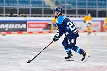 Eishockey, Frauen, DFEL, Saison 2025-2026, Testspiel, ERC Ingolstadt - HC Davos, 14.02.2026