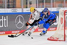 Eishockey, Herren, DEL, Saison 2026-2027, Spieltag 8, ERC Ingolstadt - Löwen Frankfurt, 11.10.2026
