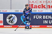 Eishockey, Herren, DEL, Saison 2023-2024, Spieltag 20, ERC Ingolstadt - Adler Mannheim, 19.11.2023