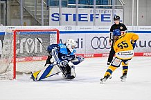 Eishockey, Frauen, DFEL, Saison 2025-2026, Testspiel, ERC Ingolstadt - HC Davos, 14.02.2026