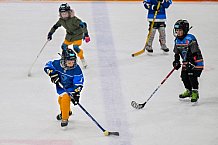Eishockey, Herren, DEL, Saison 2024-2025, ERC Ingolstadt - Kids On Ice Day, 11.01.2025