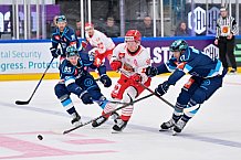 Hockey, Mens, CHL, Season 2025-2026, Regular Season, Game Day 6, ERC Ingolstadt - Odense Bulldogs, 15.10.2025