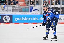 Eishockey, Herren, DEL, Saison 2023-2024, Spieltag 20, ERC Ingolstadt - Adler Mannheim, 19.11.2023