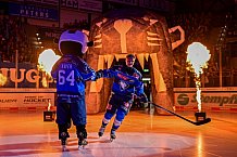 Eishockey, Herren, DEL, Saison 2026-2027, Spieltag 8, ERC Ingolstadt - Löwen Frankfurt, 11.10.2026
