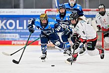 Eishockey, Frauen, DFEL, Saison 2025-2026, ERC Ingolstadt - HK Budapest, 15.11.2025