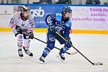 Eishockey, Frauen, DFEL, Saison 2025-2026, Playoffs Halbfinale - Spiel 2, ERC Ingolstadt - HC Davos, 01.03.2026