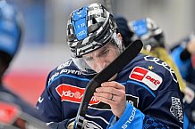 Eishockey, Herren, DEL, Saison 2024-2025, Spieltag 36, ERC Ingolstadt - Kölner Haie, 12.01.2025