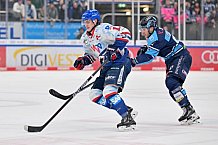 Eishockey, Herren, DEL, Saison 2022-2023, Spieltag 50, ERC Ingolstadt - Adler Mannheim, 05.02.2023