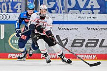 Eishockey, Herren, DEL, Saison 2025-2026, Spiel 47, ERC Ingolstadt - Nürnberg Ice Tigers, 01.03.2026