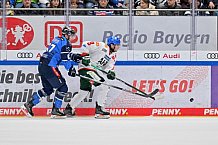 Eishockey, Herren, DEL, Saison 2023-2024, Spieltag 35, ERC Ingolstadt - Augsburger Panther, 05.01.2024
