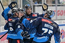Eishockey, Herren, DEL, Saison 2024-2025, Spieltag 14, ERC Ingolstadt - Löwen Frankfurt, 31.10.2024
