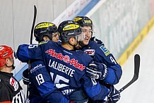 ERC Ingolstadt - Straubing Tigers, Eishockey, DEL, Deutsche Eishockey Liga, Spieltag 29, 22.12.2015, Foto: Oliver Strisch/st-foto.de