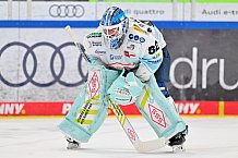 Eishockey, Herren, DEL, Saison 2025-2026, Spiel 44, ERC Ingolstadt - Dresdner Eislöwen, 27.01.2026