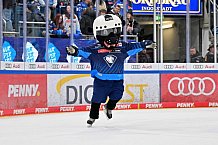 Eishockey, Herren, DEL, Saison 2024-2025, Spieltag 36, ERC Ingolstadt - Kölner Haie, 12.01.2025