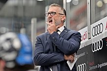 Eishockey, Herren, DEL, Saison 2024-2025, Vorbereitung, ERC Ingolstadt - Dresdner Eislöwen, 18.08.2024