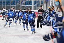 Eishockey, Frauen, DFEL, Saison 2023-2024, ERC Ingolstadt - Amsterdam Tigers, 06.01.2024