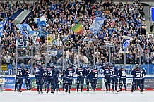 Eishockey, Herren, DEL, Saison 2024-2025, Spieltag 15, ERC Ingolstadt - Augsburger Panther, 03.11.2024