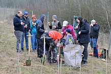 Eishockey, Herren, DEL, Saison 2023-2024, ERC Ingolstadt - Baumpflanzaktion, 02.03.2024
