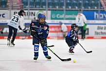 Eishockey, Herren, DEL, Saison 2023-2024, ERC Ingolstadt - Kids on Ice Day, 30.09.2023