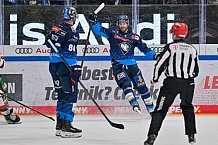 Eishockey, Herren, DEL, Saison 2024-2025, Spieltag 35, ERC Ingolstadt - Augsburger Panther, 10.01.2025
