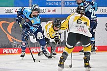 Eishockey, Frauen, DFEL, Halbfinale, Saison 2022-2023, ERC Ingolstadt - Mad Dogs Mannheim, 25.02.2023