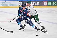 Eishockey, Mens, CHL, Season 2023-2024, ERC Ingolstadt - Färjestad Karlstad, 02.09.2023