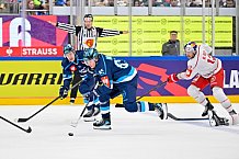 Hockey, Mens, CHL, Season 2025-2026, Regular Season, Round of 16, ERC Ingolstadt - EC Red Bull Salzburg, 12.11.2025
