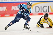 Eishockey, Frauen, DFEL, Halbfinale, Saison 2022-2023, ERC Ingolstadt - Mad Dogs Mannheim, 25.02.2023