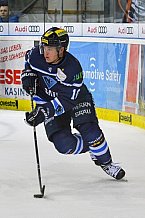 ERC Ingolstadt vs Alder Mannheim am 15.02.2019, Spieltag 32