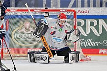 Eishockey, Herren, DEL, Saison 2024-2025, Spieltag 45, ERC Ingolstadt - Iserlohn Roosters, 16.02.2025