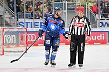 Eishockey, Herren, DEL, Saison 2023-2024, Spieltag 20, ERC Ingolstadt - Adler Mannheim, 19.11.2023