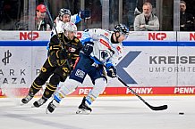 Eishockey, Herren, DEL, Saison 2024-2025, Playoffs Viertelfinale, Spiel 1, Nürnberg Ice Tigers - ERC Ingolstadt, 18.03.2025