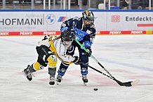Eishockey, Frauen, DFEL, Saison 2023-2024, ERC Ingolstadt - Mad Dogs Mannheim, 18.02.2024