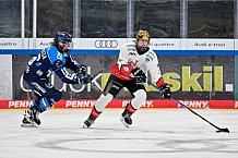 Eishockey, Frauen, DFEL, Saison 2025-2026, ERC Ingolstadt - HK Budapest, 15.11.2025