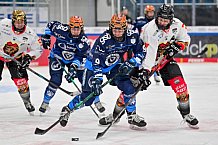Eishockey, Frauen, DFEL, Saison 2024-2025, ERC Ingolstadt - EC Bergkamener Bären, 04.01.2025