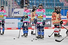 Eishockey, Frauen, DFEL, Playoffs, Finale, Spiel 3, Saison 2023-2024, ERC Ingolstadt - ECDC Memmingen Indians, 23.03.2024