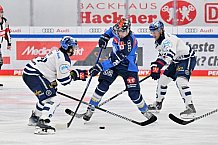 Eishockey, Herren, DEL, Saison 2023-2024, Spieltag 21, ERC Ingolstadt - Iserlohn Roosters, 23.11.2023