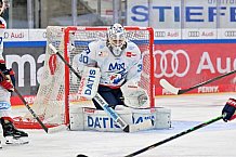 Eishockey, Herren, DEL, Saison 2024-2025, Spieltag 17, ERC Ingolstadt - Adler Mannheim, 17.11.2024