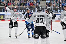 Eishockey, Herren, DEL, Saison 2024-2025, Spieltag 36, ERC Ingolstadt - Kölner Haie, 12.01.2025