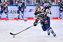 Eishockey, Herren, DEL, Saison 2023-2024, Playoffs Viertelfinale - Spiel 4, ERC Ingolstadt - Fischtown Pinguins , 24.03.2024