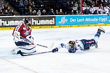 Hamburg Freezers vs ERC Ingolstadt, Eishockey, DEL, 25.10.15
